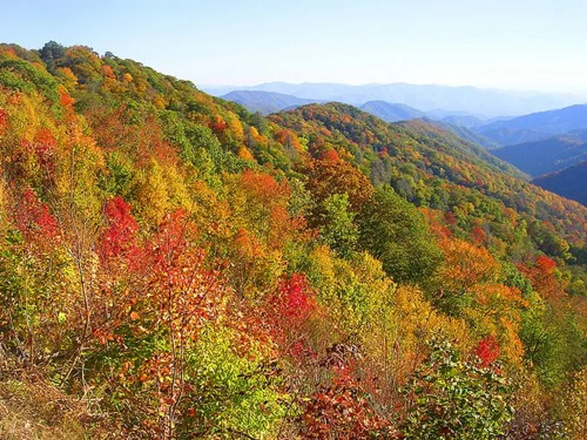 A breathtaking vista of distant mountains framed by brilliant autumn leaves under a clear, expansive sky. The scene is peaceful, with nature's beauty on full display and an open invitation to pause and take it all in.