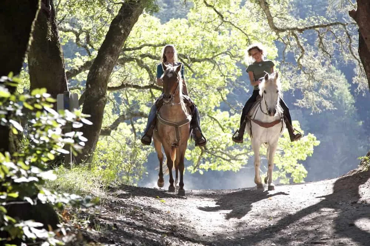 Two women ride horseback along a sun-dappled green trail, surrounded by trees and vibrant foliage. The mood is adventurous and joyful, emphasizing shared experiences in nature.