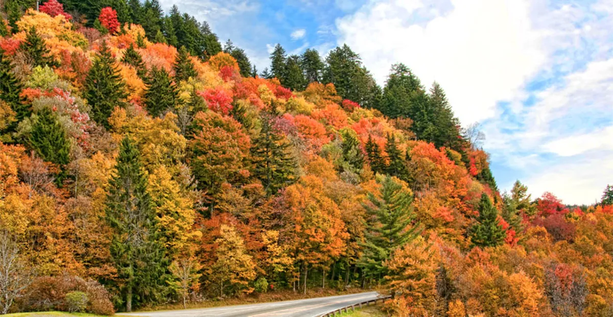 A winding road cuts through vibrant autumn foliage, with the blue sky peeking through drifting clouds. The scene is alive with the colors of fall and evokes the crisp, invigorating air of the mountains, perfect for scenic drives or leisurely walks.