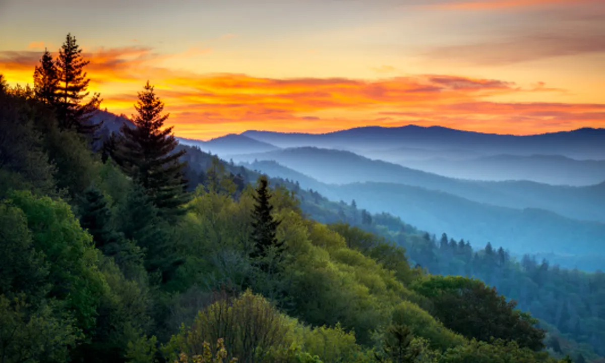 This serene view showcases a mountain range at sunset, framed by a dense forest. The scene evokes the peaceful beauty of the Great Smoky Mountains, inviting families to explore gentle hiking trails, admire nature, and unwind in a tranquil setting after lively adventures.